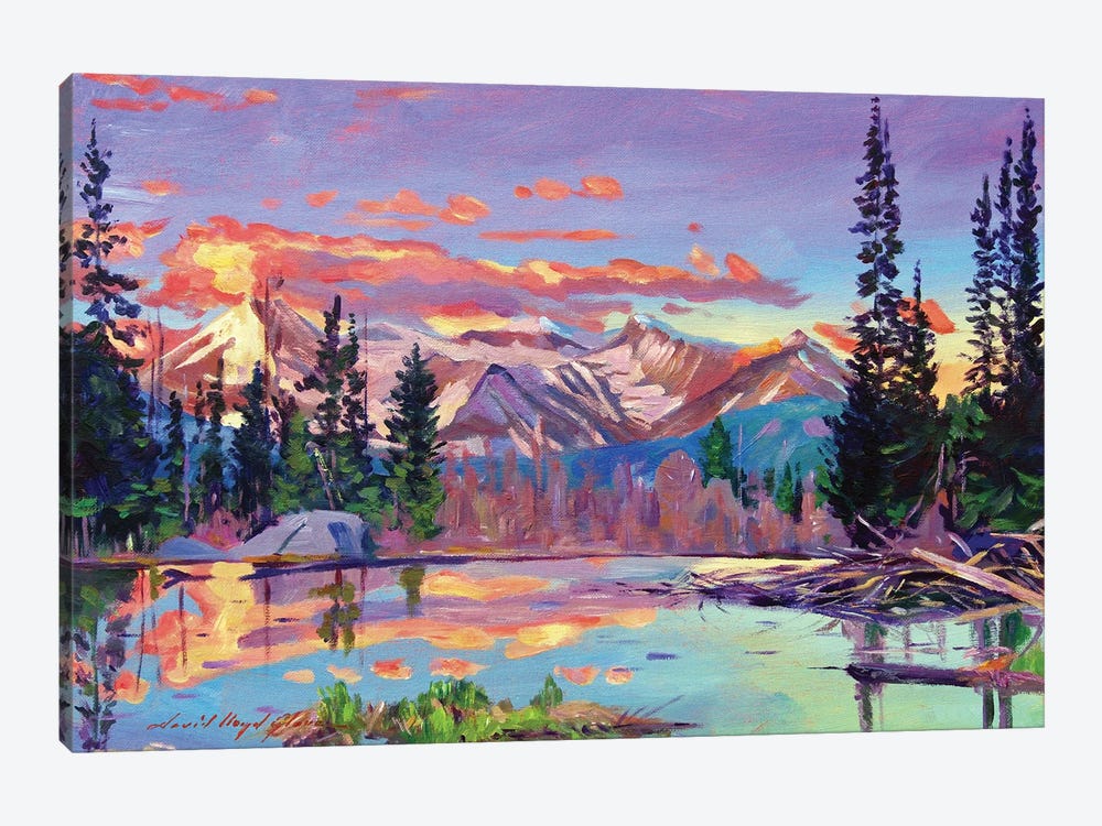 Evening Serenity Pond by David Lloyd Glover 1-piece Canvas Print