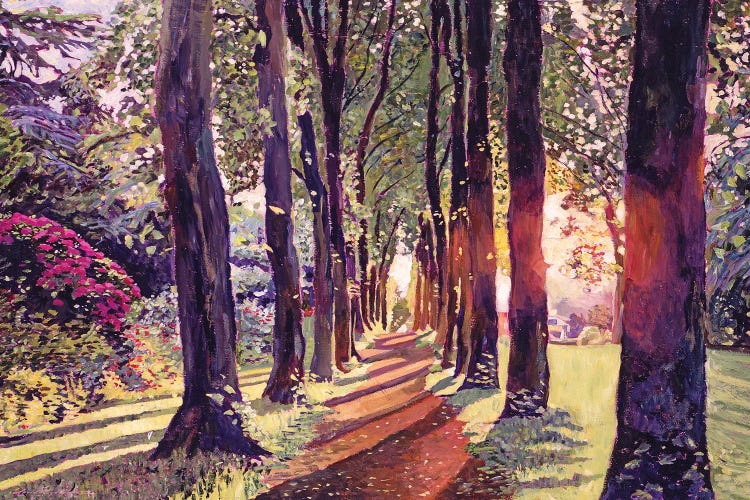 A Walk In The Forest by David Lloyd Glover wall art