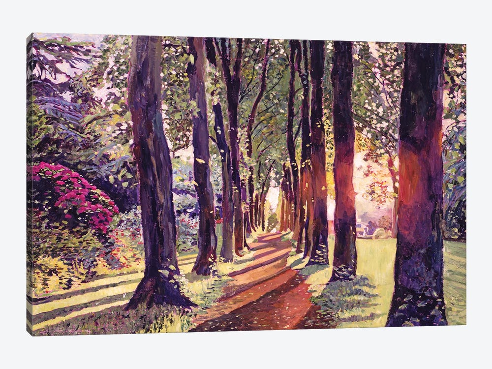 A Walk In The Forest by David Lloyd Glover 1-piece Canvas Art Print