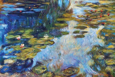 Waterlily Reflections by David Lloyd Glover framed canvas print