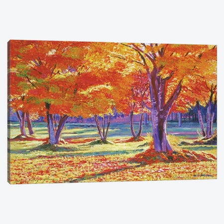 Fallen Autumn Leaves Canvas Print #DLG80} by David Lloyd Glover Canvas Art
