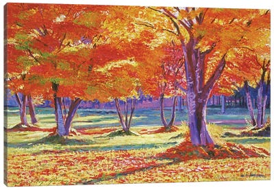 Fallen Autumn Leaves Canvas Art Print - David Lloyd Glover