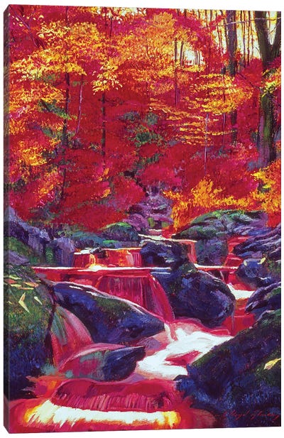 Fire Fall Canvas Art Print - David Lloyd Glover