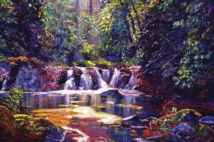 Foaming Water Forest