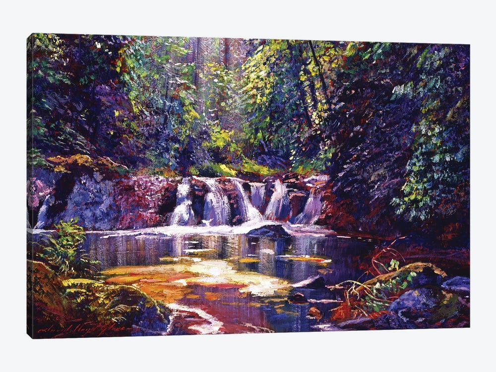Foaming Water Forest by David Lloyd Glover 1-piece Canvas Art