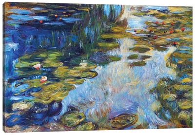 Waterlily Reflections Canvas Art Print - David Lloyd Glover