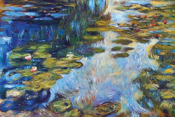 Water Lilies: Waterlily Reflections by David Lloyd Glover