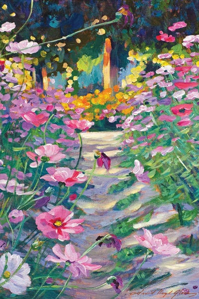 Cosmos: Garden Path Of Cosmos by David Lloyd Glover