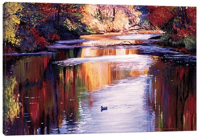 Gentle River In Autumn Canvas Art Print - David Lloyd Glover