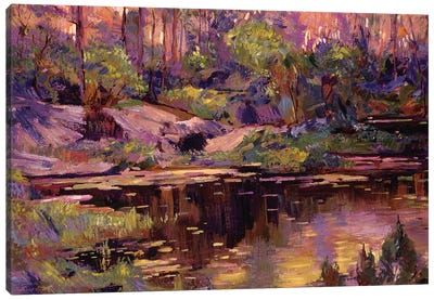 Golden Hour At The Pond Canvas Art Print - David Lloyd Glover