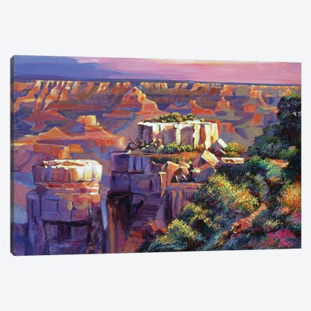Grand Canyon Morning Canvas Print #DLG96} by David Lloyd Glover Canvas Art