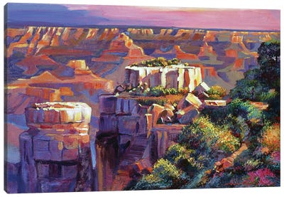 Grand Canyon Morning Canvas Art Print - Grand Canyon National Park Art