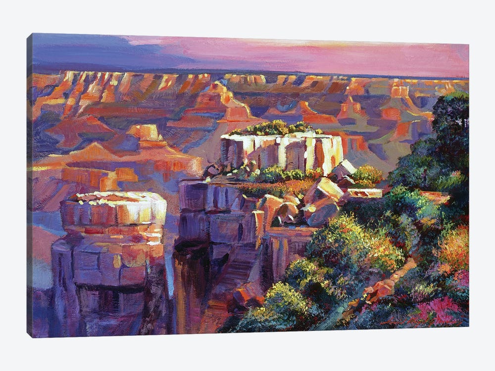 Grand Canyon Morning by David Lloyd Glover 1-piece Canvas Art