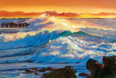 Hawaii Surf by David Lloyd Glover framed wall art