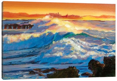 Hawaii Surf Canvas Art Print - David Lloyd Glover