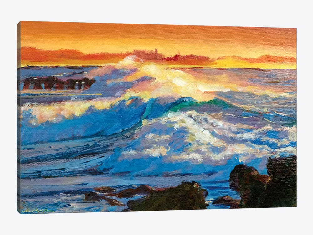 Hawaii Surf by David Lloyd Glover 1-piece Art Print
