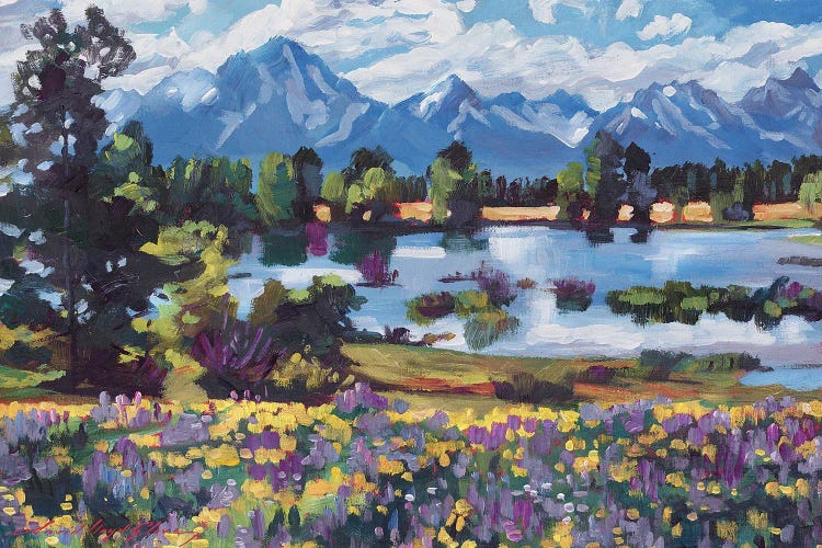 High Country Wildflowers