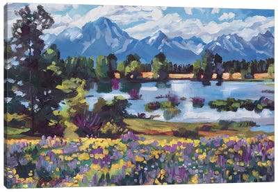 High Country Wildflowers Canvas Art Print - David Lloyd Glover