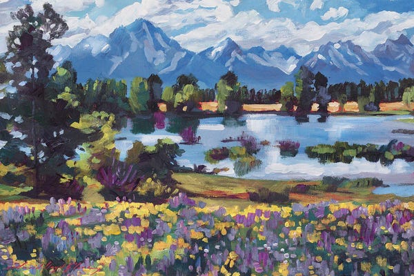 Snowy Mountains: High Country Wildflowers by David Lloyd Glover