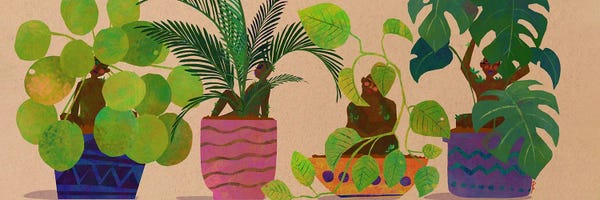 LGBTQ+ Artists: Planted by DeeLashee Artistry