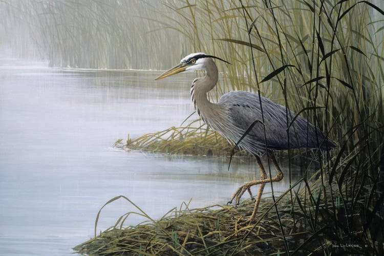 Watching And Waiting by Don Li-Leger wall art