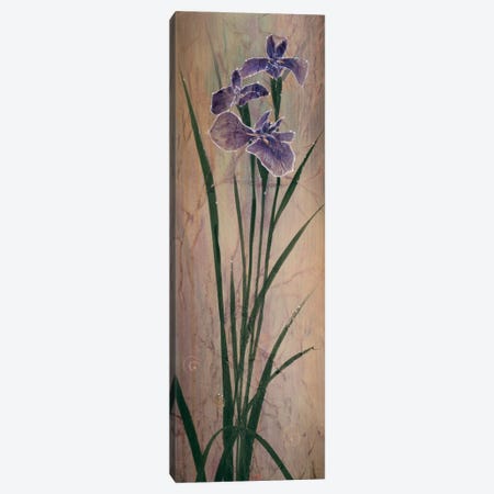 Iris Panel I Canvas Print #DLL123} by Don Li-Leger Canvas Print