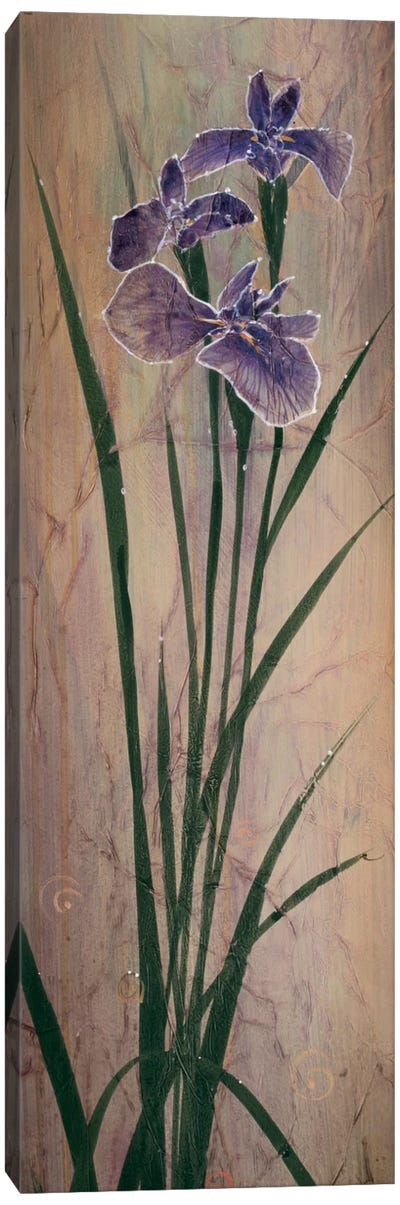 Iris Panel I Canvas Art Print - Don Li-Leger