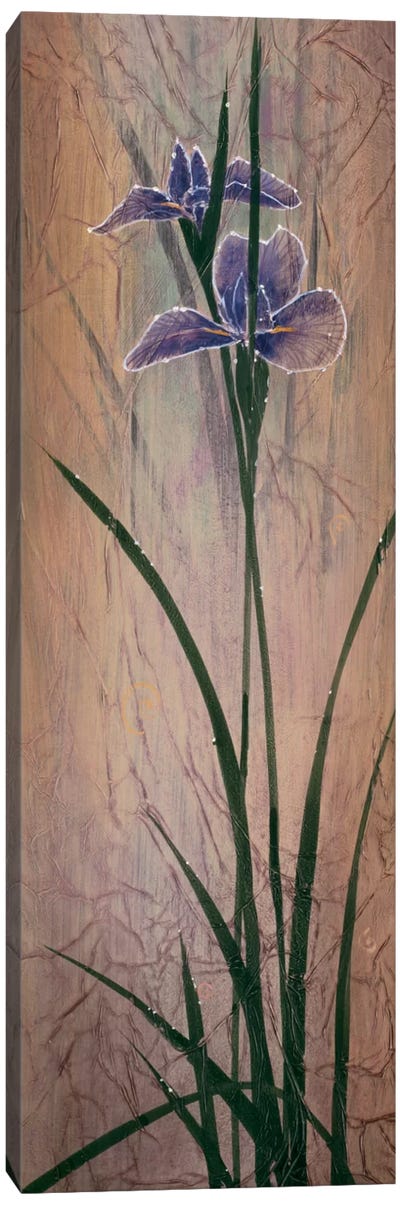 Iris Panel II Canvas Art Print - Don Li-Leger