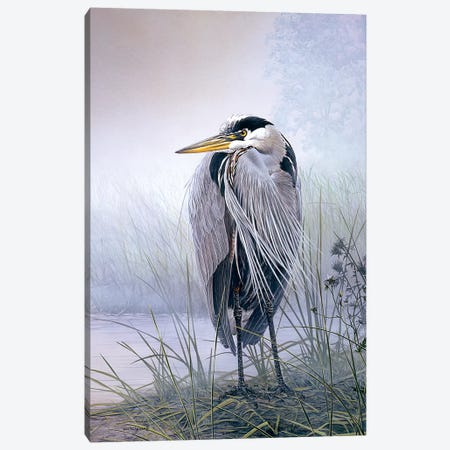 Brooding Heron Canvas Print #DLL125} by Don Li-Leger Canvas Artwork