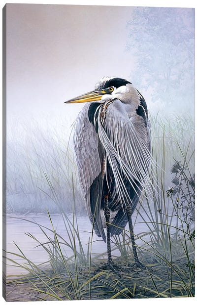 Brooding Heron Canvas Art Print - Don Li-Leger
