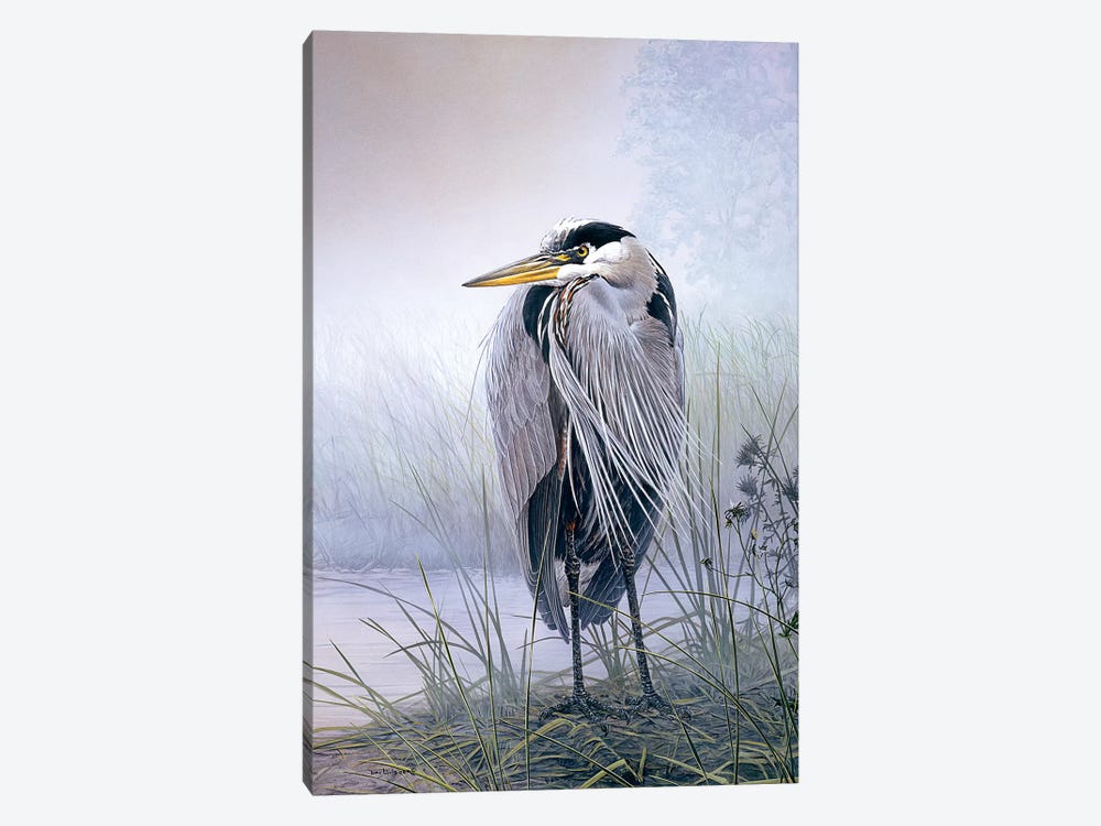 Brooding Heron by Don Li-Leger 1-piece Canvas Artwork