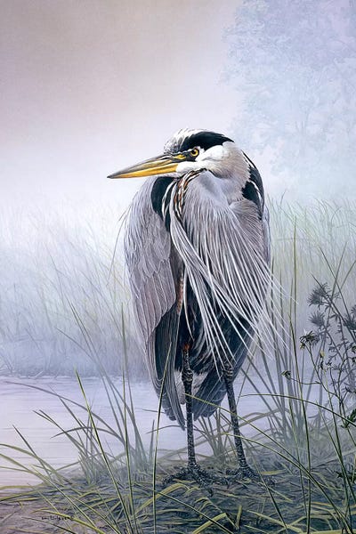 Don Li-Leger: Brooding Heron by Don Li-Leger
