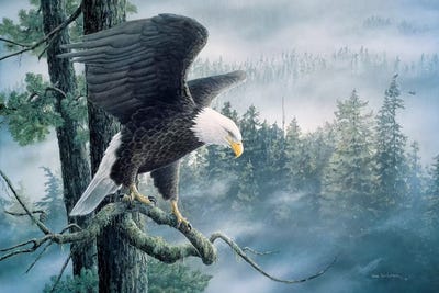 High And Mighty by Don Li-Leger metal wall art