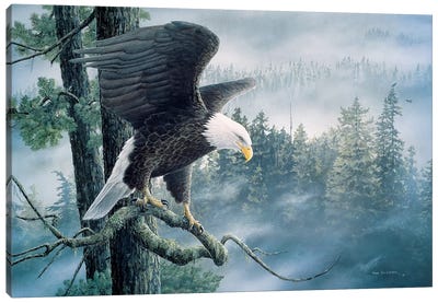 High And Mighty Canvas Art Print - Eagle Art