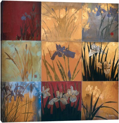 Iris Nine Patch II Canvas Art Print - Irises