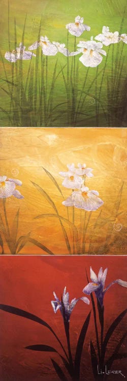 Karma by Don Li-Leger wall art