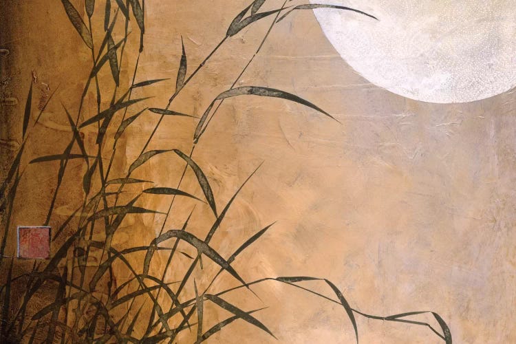 Lakeside Moonrise by Don Li-Leger wall art
