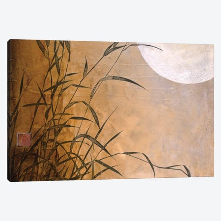 Lakeside Moonrise Canvas Print #DLL53} by Don Li-Leger Canvas Art