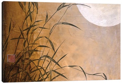 Lakeside Moonrise Canvas Art Print - Don Li-Leger