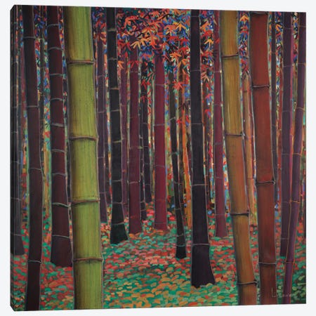 Magical Forest Canvas Print #DLL56} by Don Li-Leger Art Print