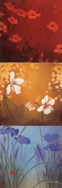 Don Li-Leger: Aura by Don Li-Leger