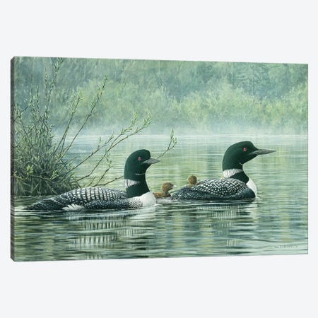 Northern Reflections - Loons Canvas Print #DLL63} by Don Li-Leger Canvas Art Print