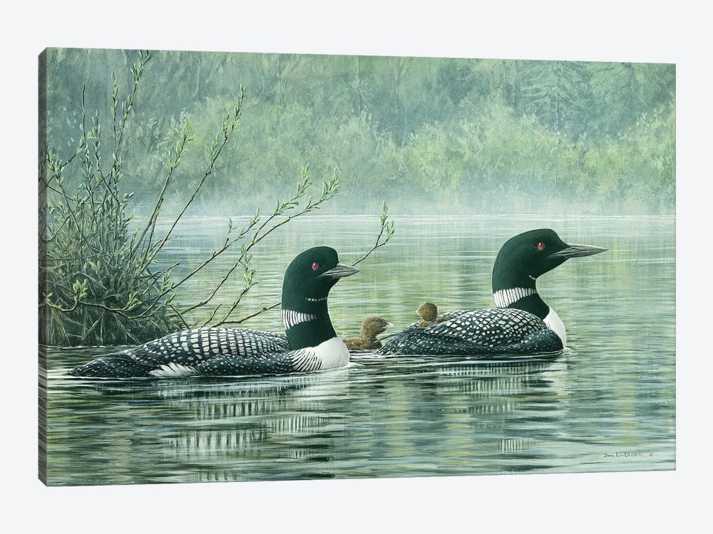 Northern Reflections - Loons by Don Li-Leger 1-piece Art Print