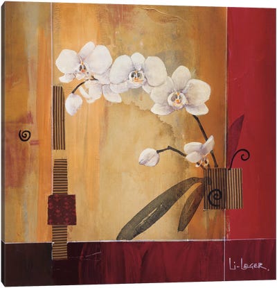Orchid Lines II Canvas Art Print - Don Li-Leger