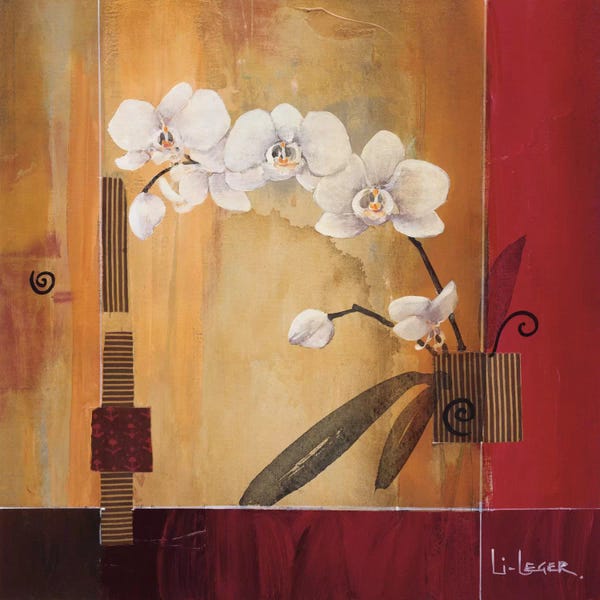 Orchids: Orchid Lines II by Don Li-Leger