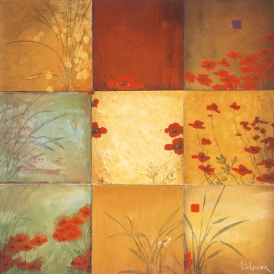 Poppy Nine Patch by Don Li-Leger gallery poster