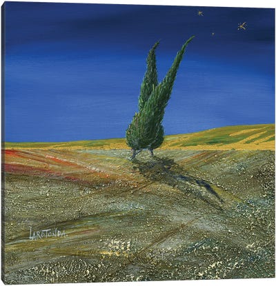 The Rising Star Canvas Art Print - Cypress Tree Art