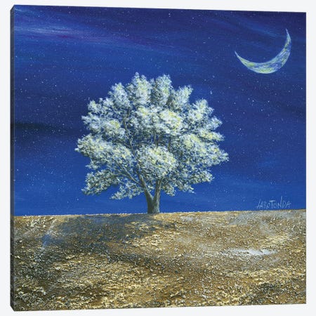 The Tree Of Dreams Canvas Print #DLQ45} by Donato Larotonda Art Print