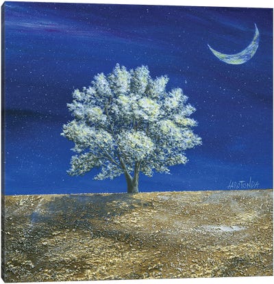 The Tree Of Dreams Canvas Art Print - Donato Larotonda