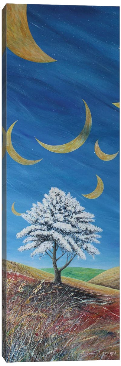 Falling Moons Canvas Art Print - Donato Larotonda